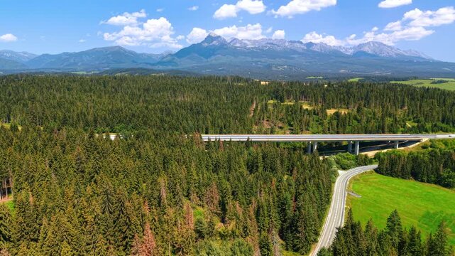 Concrete viaduct crossing a forest below the High Tatras. A highway spans treetops near a green meadow, with Krivan rising above the forest.