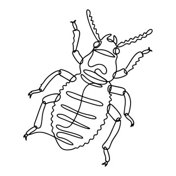 Bedbug Insect Continuous Line Art Drawing, Minimalist Parasite Bed Bug Vector Illustration, Cimex Pest Outline Graphic
