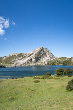 Covadonga Lakes landscape with mountains and green pasture under blue sky