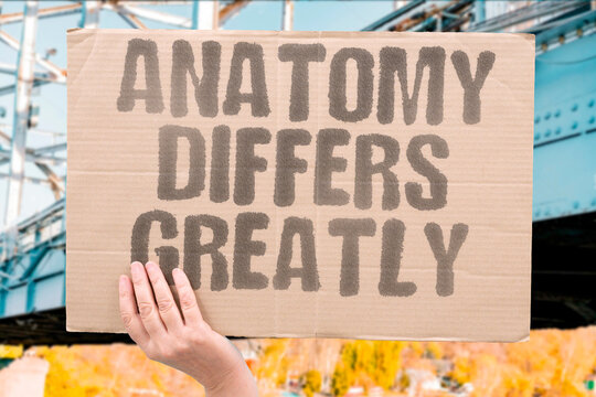 "Anatomy differs greatly" Physical bodies show substantial variation between individuals. VARIATION. ANATOMY. DIVERSITY. NORMAL. BIOLOGY.