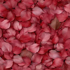 Autumn background covered with many red leaves © britaseifert