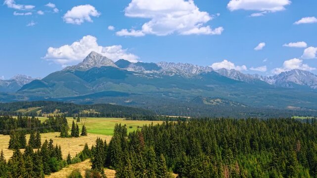 High Tatras mountain peaks over spruce forest landscape, Slovakia. Rocky mountain ranges rise behind dark pine woodland under blue sky.