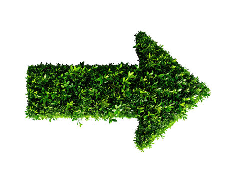 Green arrow sign made of fresh vibrant leaves pointing right isolated as a creative symbol concept on transparent background