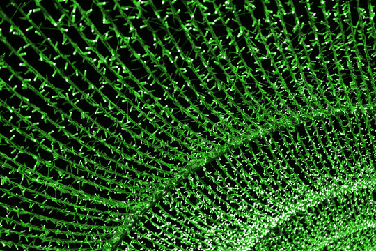 Christmas street illumination bokeh, garland with green lights arranged in dense flowing patterns, shining arch glowing on dark background, festive sparkling texture with modern winter atmosphere