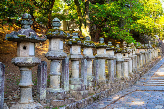 Stone lanterns in Nara, Japan. Known as Ishi-Toro, the lanterns have a rich religious history in Japan used for the sacred offering of light to Buddha, symbolizing the illumination of his teachings