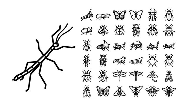 Diverse Insect Collection: A whimsical collection of hand-drawn insect illustrations, featuring a prominent stick insect and a variety of other small creatures.