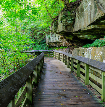 Boardwalk Descending Into The Lower Gorge To Brandywine Falls Lower Viewing Platform, Cuyahoga Valley National Park, Ohio, USA