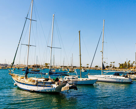 Sailboats Moored on San Diego Bay at The Embarcadero, San Diego, California, USA