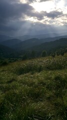 Fototapeta premium Christmas wreaths in meadow beneath clouds and rays