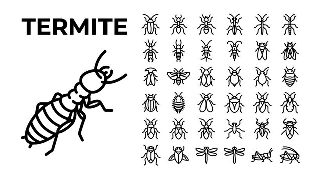 Termite Icon Set: A detailed illustration of a termite alongside a collection of various insect icons, representing biodiversity and entomology studies.