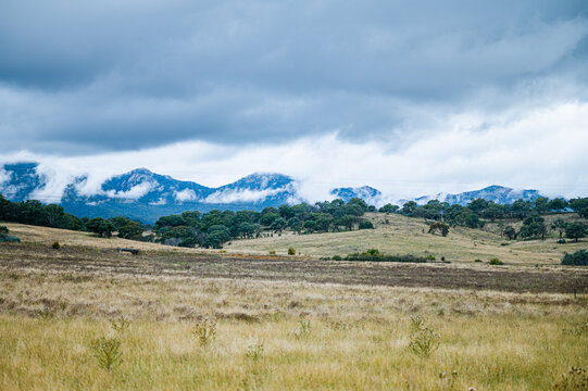 Grassy field with rolling hills and cloudy mountain background