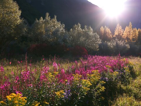 Christmas lanterns glowing in mountain valley meadow