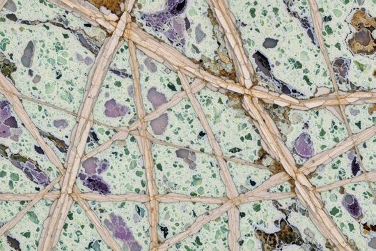 Thin section of tinguaite rock shows violet aegirine zones and light green nepheline matrix. Lilac fluorite inclusions create spotted texture. Veins form geometric patterns on polished surface.