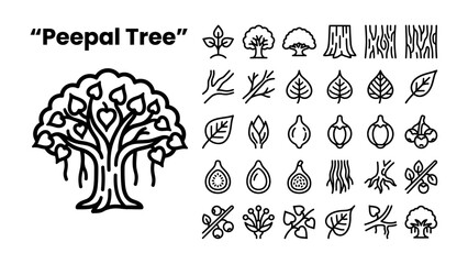 Fototapeta premium Peepal Tree Icons: A collection of stylized line art icons depicting the Peepal tree, its leaves, fruits, branches, and trunk, representing elements of nature and growth.