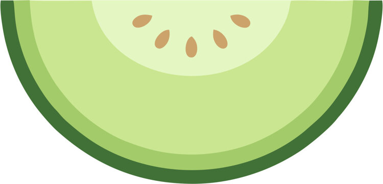 Fresh Sliced Honeydew Melon Fruit Slice with Seeds Vector Illustration