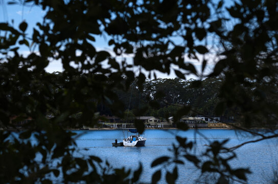 yacht moored with riverfront houses behind tree