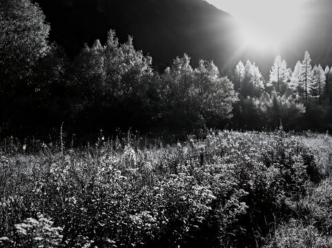 Christmas lanterns in deep mountain valley meadow
