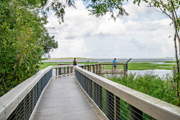 Obraz premium Spring Hammock Preserve, Florida