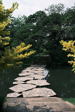 Vertical view of stepping stones across a pond beneath flowering trees