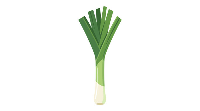 Vector illustration of a fresh leek vegetable isolated on white