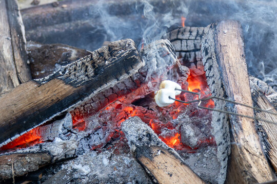 roasting marshmallows over campfire embers