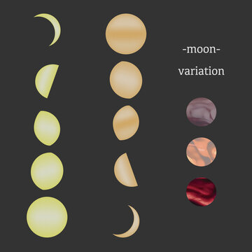 Moon Phase Cycles Crescent Half and Full Moon Illustration Vector Set 満月・三日月・半月のムーンフェイズと質感テクスチャのイラスト素材