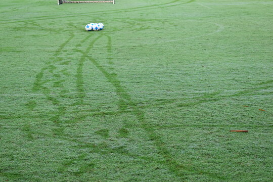 green grass background, exterior design