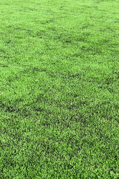 close up of clean green synthetic grass lawn surface