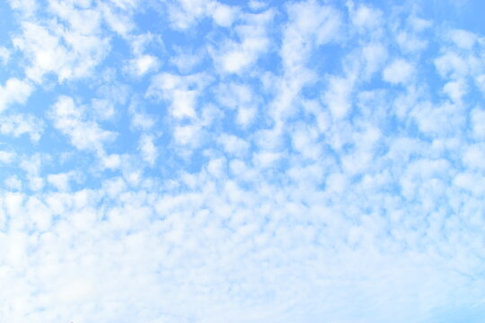 beautiful blue sky with sunlight in springtime