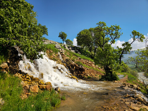 Foaming stream flows down a sunlit grassy hillside into a wide channel, beside lush green trees and a river, under a blue sky with white clouds.
📍Ghol, Sarvabad, Kurdistan 