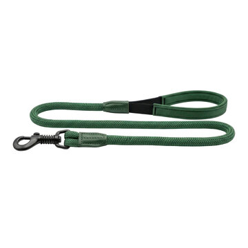 Green Dog Leash With Padded Handle and Metal Clasp, Isolated On Black