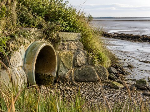 Salt glazed clay culvert pipe mouth set in a stone headwall under an overgrown embankment