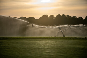 Irrigation pipe supports sprinkler. Water droplets fill air. Green field stretches wide. Rural landscape at sunset. © Svitlana