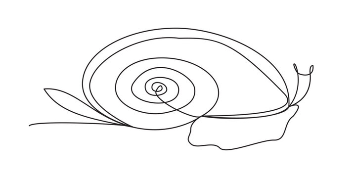 Continuous single line drawing of a cute snail shell moving slowly