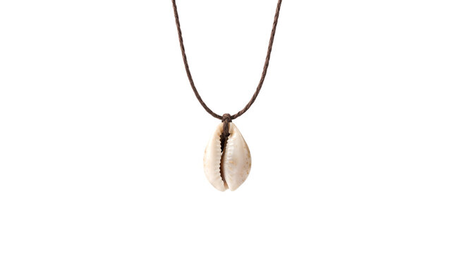 Cowrie shell necklace on transparent background