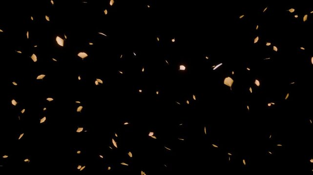 銀杏の葉が温かな黄金色の光を帯びて優美に舞い降りるループ動画。秋の感謝祭フェアやオータムセール告知、観光PR動画に最適な漆黒の闇にゴールドの軌跡を描くシネマティックな高品質素材