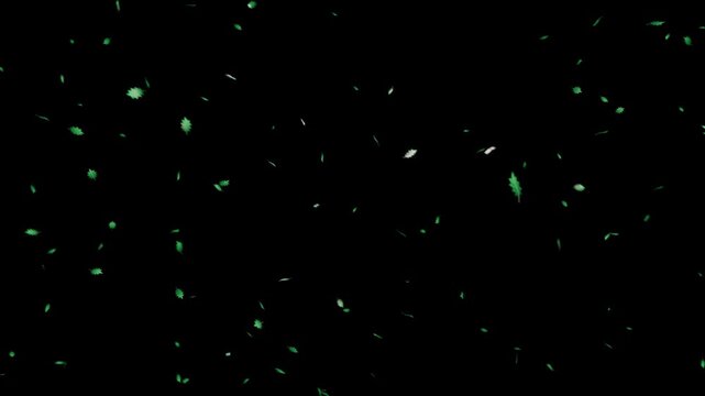 柊の葉が神秘的なエメラルドグリーンに煌めき優美に旋回するループ動画。クリスマスの高級ギフトPR、冬のブランドフェア、ホリデーキャンペーンWebに映える気品あるシネマティック素材