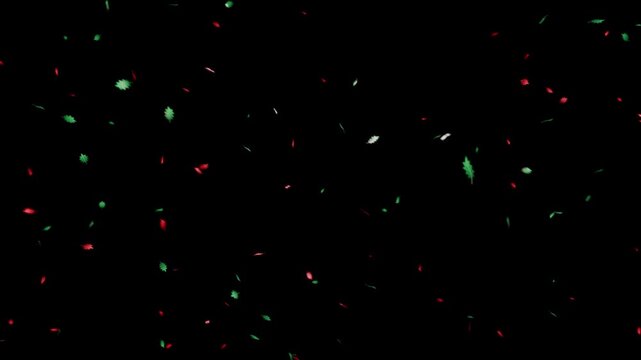 柊の葉が伝統的な緑と赤のクリスマスカラーで空間を舞い散るループ動画。冬のECセール特集、ホリデーパーティーオープニング、季節の販促バナーに最適なクラシックで華やかな背景素材
