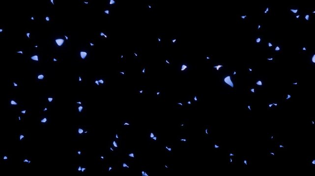 薔薇の花びらが高貴なロイヤルブルーの光彩を放ち漆黒を舞うループ動画。ファンタジー作品のオープニング、高級時計ブランドPV、冬のイベントステージ演出に映える幻想的シネマティック素材