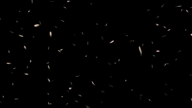 鳥の羽が煌びやかなホワイトゴールドの光を纏い優美に旋回するループ動画。記念アニバーサリー動画、式典オープニング、VIP会員向けWeb告知に調和するゴージャスなシネマティック素材