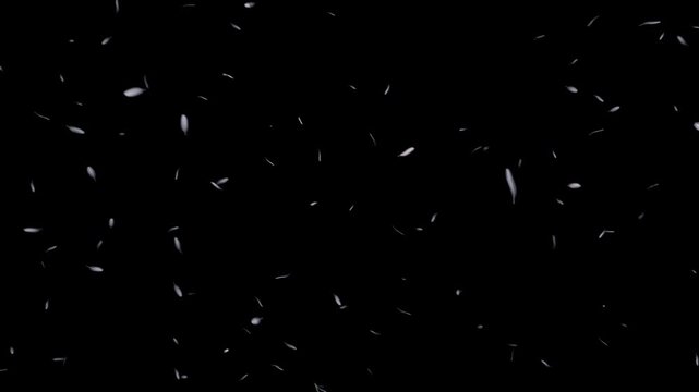 鳥の羽が上品なパールシルバーに輝き静かに空間をたゆたうループ動画。高級寝具や安眠グッズのLP、エステサロンのWebCMに最適な極上の柔らかさと癒やしを伝えるシネマティック素材
