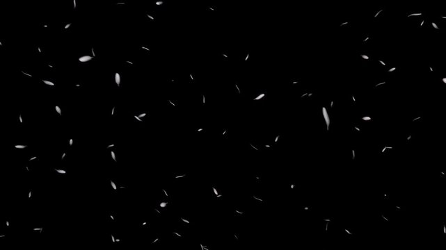 鳥の羽が無垢な純白の光粒とともにゆっくりと舞い降りるループ動画。結婚式のプロフィールムービー、赤ちゃんの誕生記念映像、平和ややすらぎをテーマにしたWeb広告に最適な背景素材