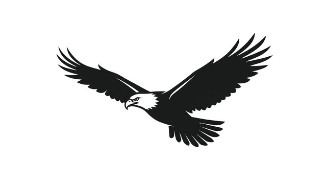 eagle in flight