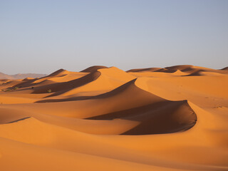 Golden sand dunes of the Sahara Desert at sunset under a clear sky, Morocco © Yuriko