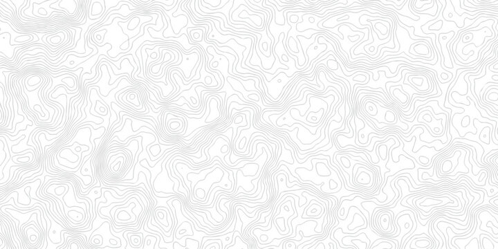 Landscape black line wireframe location diagram world map texture design. White relief counter topo map diagram outline minimal area topography spiral line textile background .	

