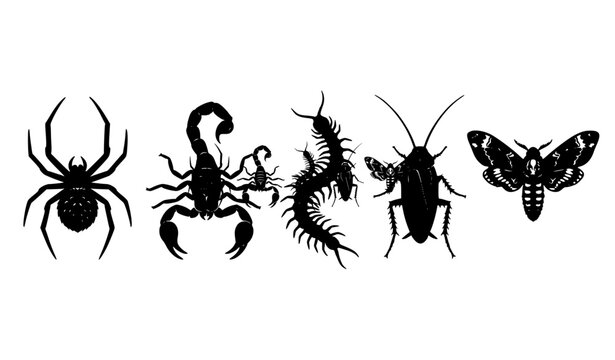 Creepy Crawly Spider Scorpion Centipede Cockroach Death Moth Black Vector Set