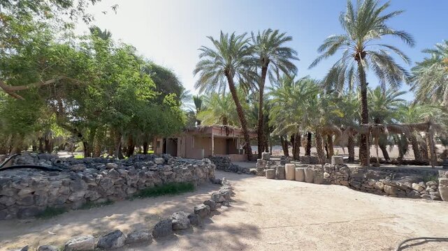 Old stone walls and tall date palms in a sunny traditional village oasis.