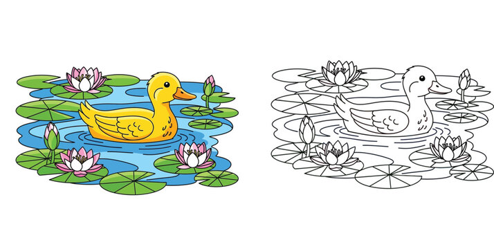 Cute Little Duck Swimming in Pond with Water Lilies Vector Illustration and Kids Coloring Book Page