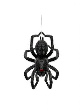 A black spider hanging from a single silver thread, its eight legs curled, red eyes glowing. The spider is detailed, with fine hairs visible.