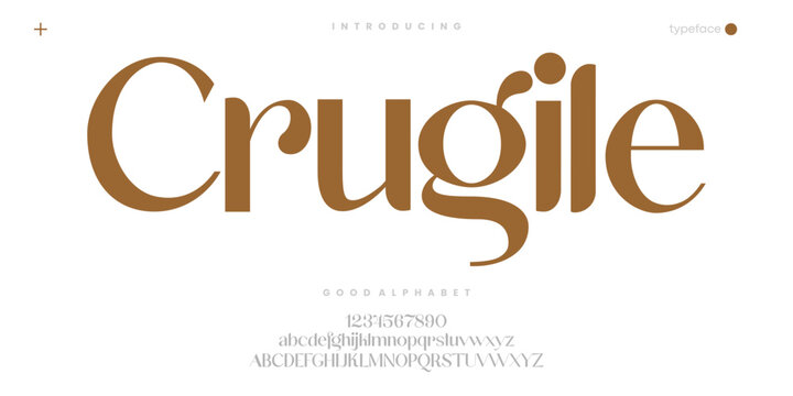 Elegant Decorative Serif Font for Luxury Fashion Logo and Editorial Design